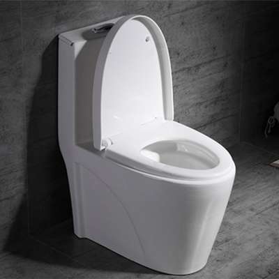 economical bathroom toilet sanitary toilet closestool