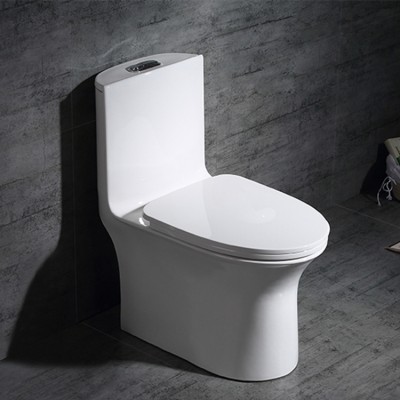 flushing s-trap dual-flush white ceramic one piece toilet closestool